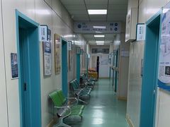 -北京观赏动物医院·24小时大型综合·猫专科·异宠专科