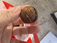-二斗栗子(黄河道店)