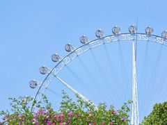 -石家庄市植物园