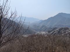-大岭沟猕猴桃谷风景区