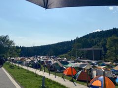 -武陵山森林公园