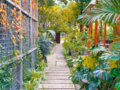 -谷咖啡·鲜花绿植花园餐厅