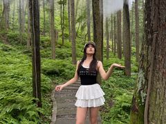 -洛阳白云山景区