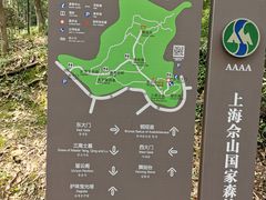 -上海佘山国家森林公园天马山园