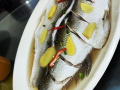 蒸河鮮白条魚-万人缘酒楼