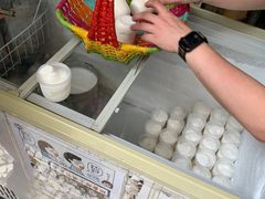 -洪馨椰子