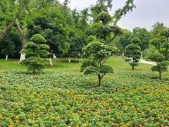 -雁鸣湖休闲公园-停车场