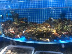 -七鲜超市(通州ONE店)