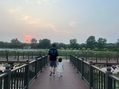 -天津东丽湖风景区