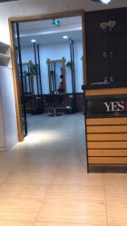 点击看大图 -YESIDO椰岛造型