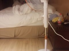 -中国马镇舞马世界主题乐园