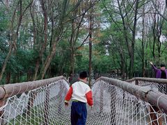 -溱湖国家湿地公园