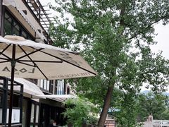 -Local泰莲庭(虹鳟鱼店)
