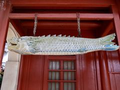 -普陀山慧济禅寺