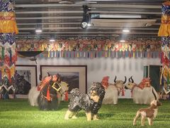 -后院犇牛主题餐厅(云岗店)