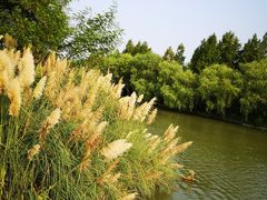 -中国湿地博物馆