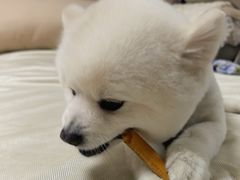 -美联众合24小时·皮肤科·外科·全科诊疗中心(华苑分院)