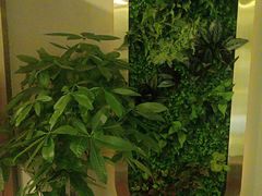 -润和养生·影音足道·按摩SPA(虹梅路店)