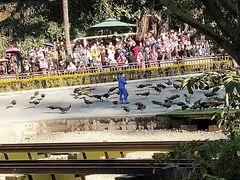 -勐巴拉娜西大剧院