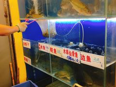 水产区-盈旺小厨·非遗黄鳝饭(泰康路店)