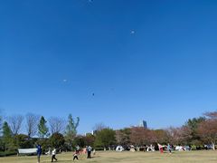 -石湖景区