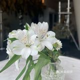 西安蛋糕界的爱马仕，颜值与口味的天花板🔛