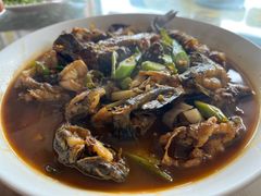 -领鲜土菜馆