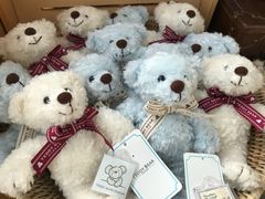 -济州岛泰迪熊博物馆