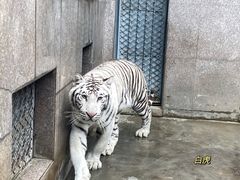 -西安秦岭野生动物园