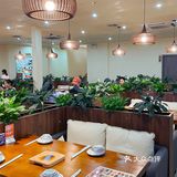 多口味瓦鸡煲！邓紫棋清远演唱会打卡美食！