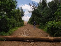 -长虫山生态公园风景林