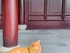 -西园戒幢律寺