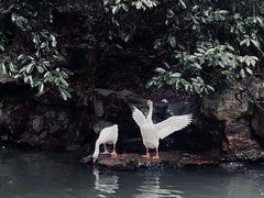 -兰亭风景区