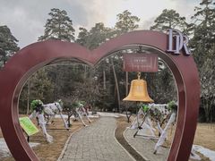 -美人松苑