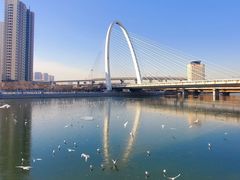 -天津之眼摩天轮