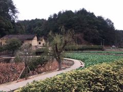 -韶山毛泽东同志故居