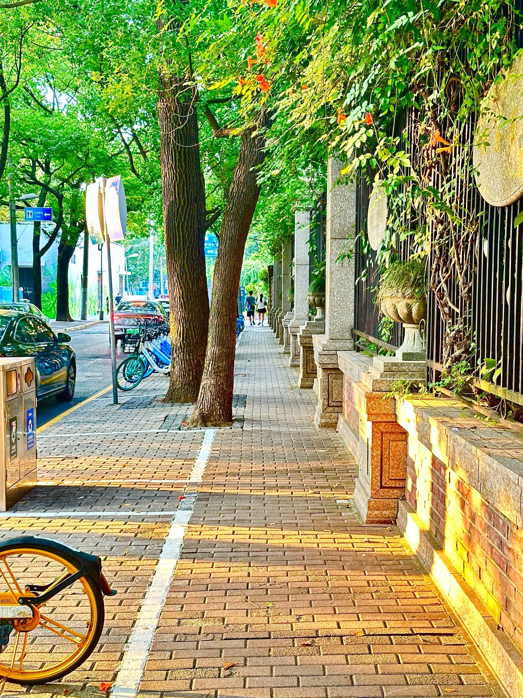 漫步街头的美景掠影