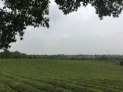 -敬亭山风景名胜区