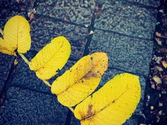 -五女峰国家森林公园