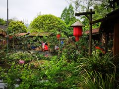 -青城甲(青城山店)