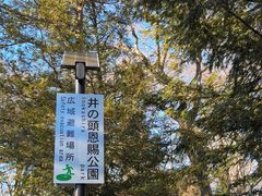 -井之头恩赐公园