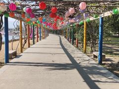-苏州太湖西山岛开心农场