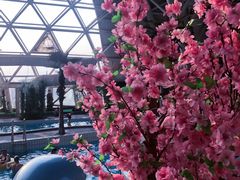 -天山海世界·米立方