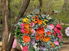 -本溪关山湖风景区