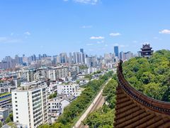 -黄鹤楼公园(黄鹤楼)