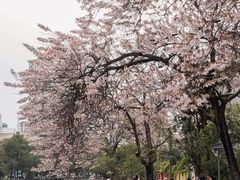 -红星桥(地铁站)