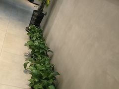 -仙人掌足疗养生馆(北京路至尊店)