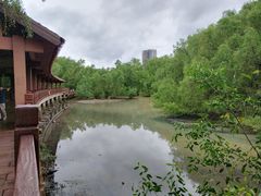 -大亚湾红树林城市湿地公园