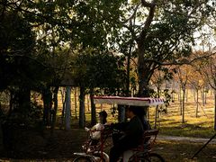 -上海海湾国家森林公园