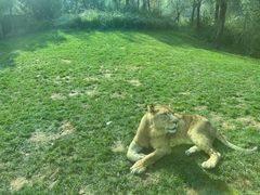 -北京野生动物园